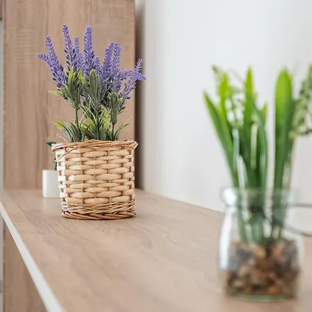 The Right Choice 16 Апартаменты *